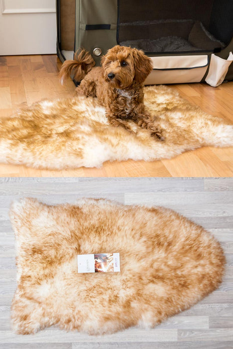 Large Sheepskin Wool Pet Bed - Natural Shape 50x80cm