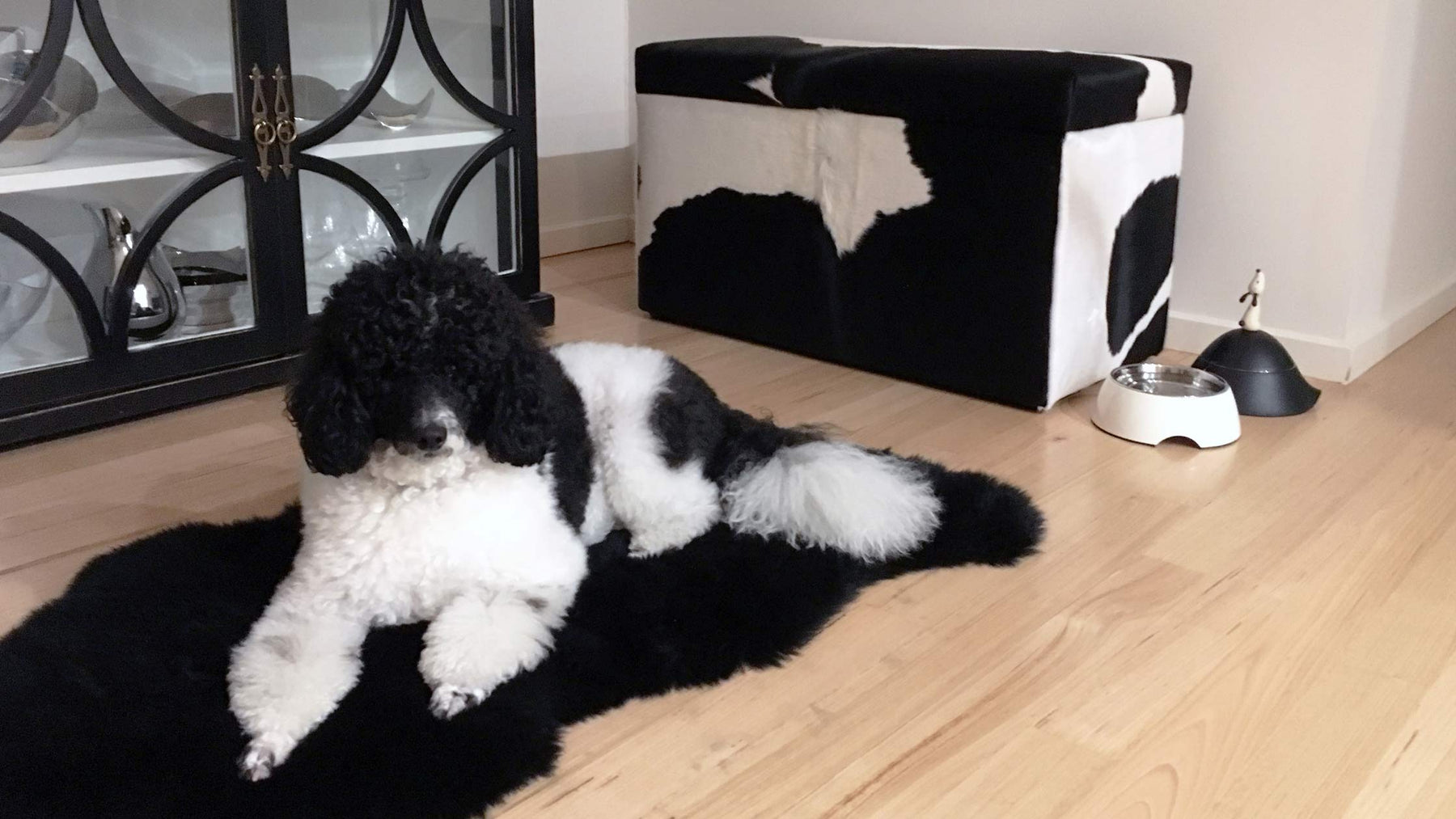 Cowhide storage ottoman for storing pet toys