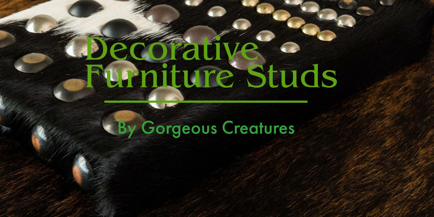 Decorative Furniture Studs by Gorgeous Creatures