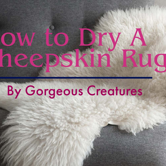 How to Dry a Sheepskin Rug by Gorgeous Creatures