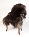 Icelandic sheepskin rug in smokey black #005