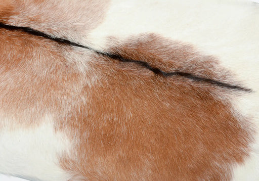 Brown and white goatskin rug close up
