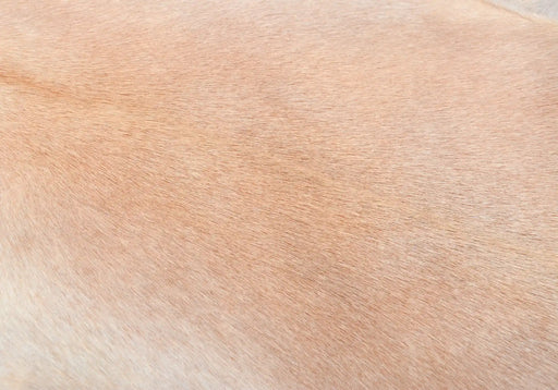 Goatskin in light beige detail #037