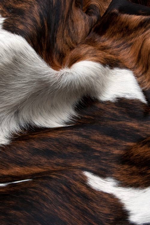Cowhide Rugs by Gorgeous Creatures