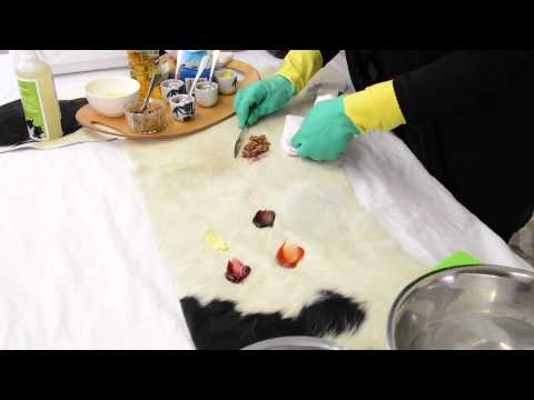 Gorgeous Creatures cowhide cleaning demonstration video
