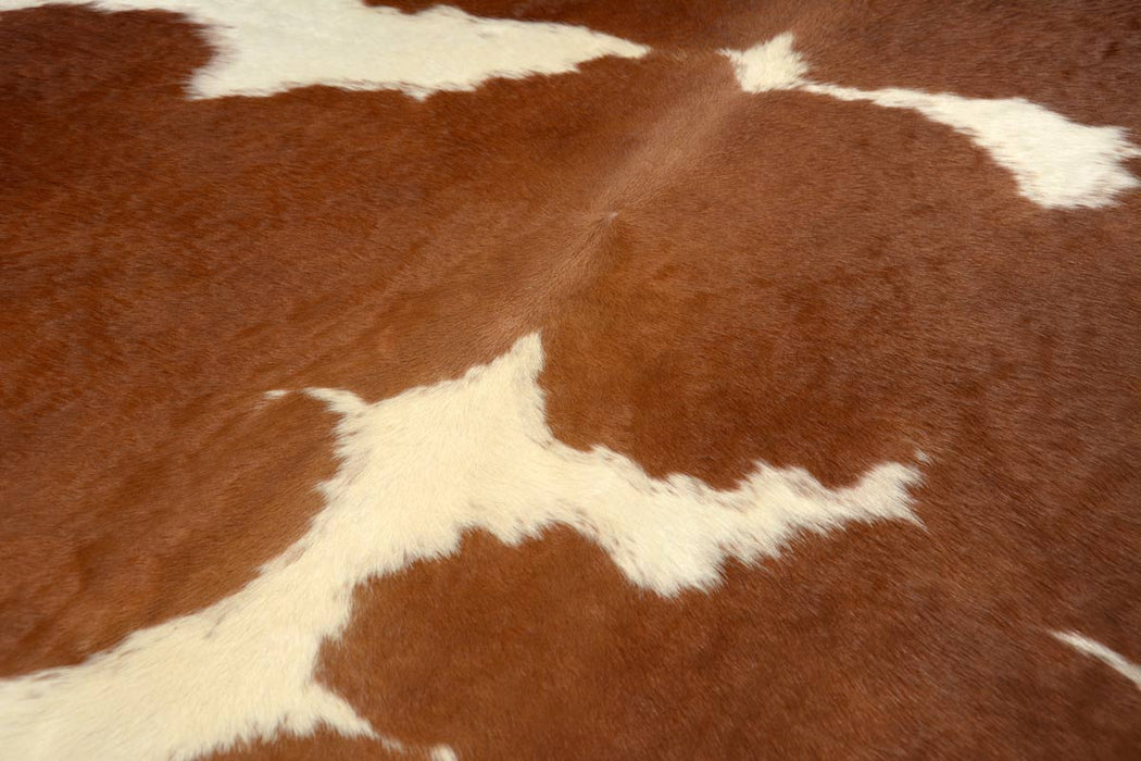 Cowhide rug rich chestnut brown and white