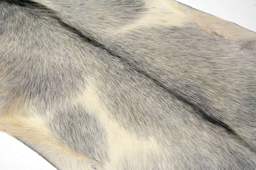 Goatskin rug grey and white detail #015
