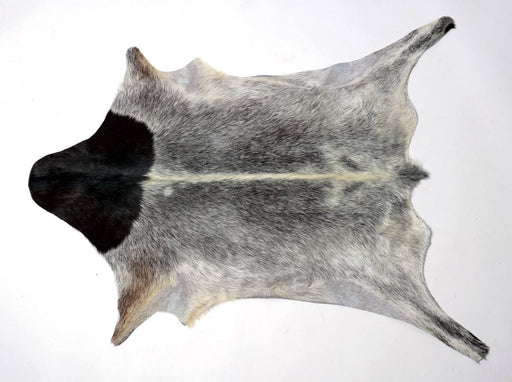 Goatskin rug NZ Gorgeous Creatures #018