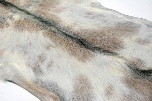 Goatskin rug New Zealand Gorgeous Creatures #022