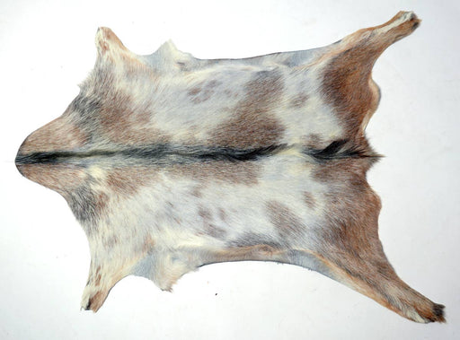 Goatskin rug New Zealand Gorgeous Creatures #022