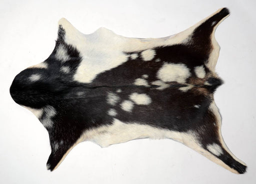 Goatskin rug New Zealand Gorgeous Creatures #023