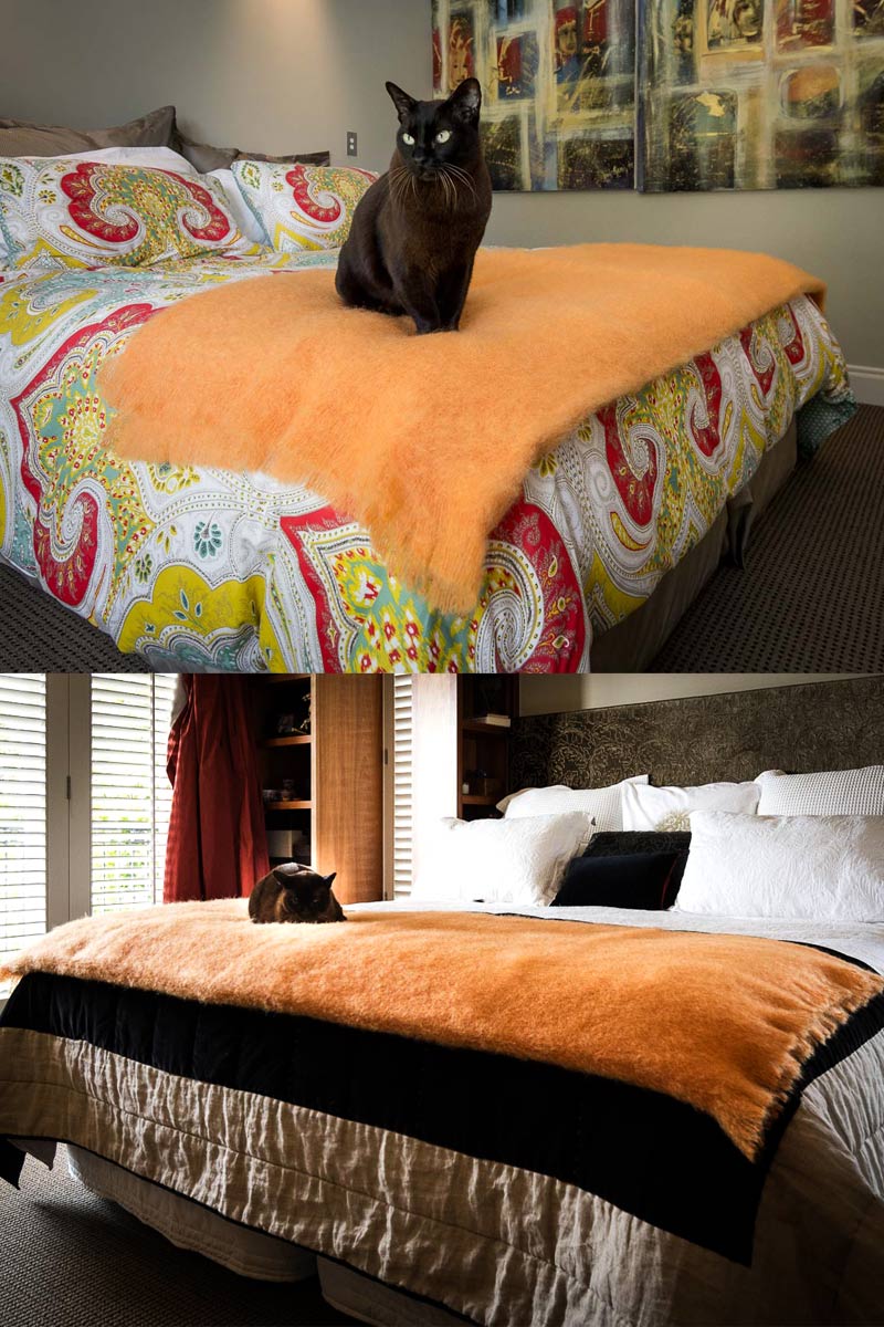 Clearance Sale Items