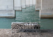 End of bed or bench zebra print cowhide ottoman