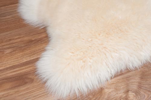 Champagne Cream Single Sheepskin Rug