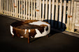 Cowhide Ottoman Round Brown and White Wood Legs 110x110x40cm