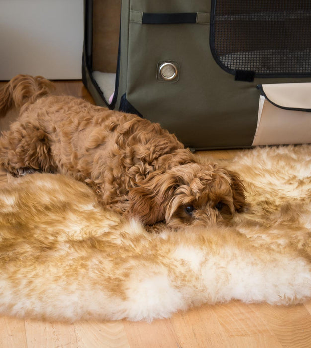 Pet Sheepskin Rugs - TWO Large Natural Shape Beds 50x80cm